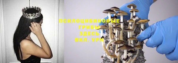 дурь Михайловка