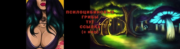 дурь Михайловка