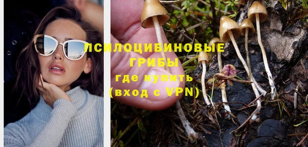 шишки Михайлов