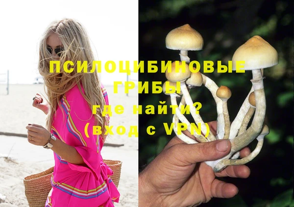 дурь Михайловка