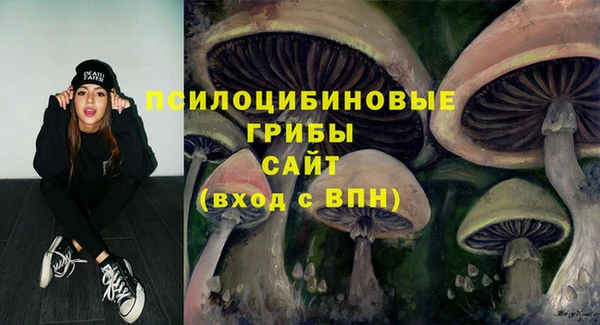 дурь Михайловка