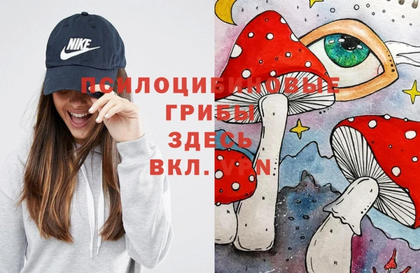 дурь Михайловка