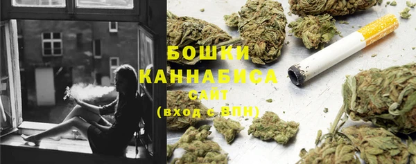 гашик Михайловск