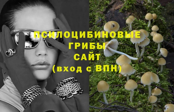 дурь Михайловка