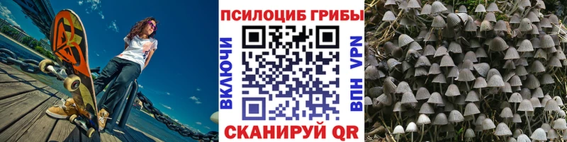 Купить Оха Галлюциногенные грибы GOLDEN TEACHER