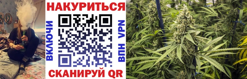Шишки марихуана планчик Оха