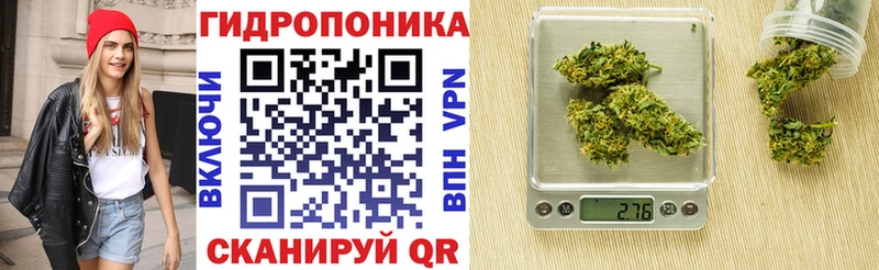 Купить где  Оха  Бошки марихуана индика 